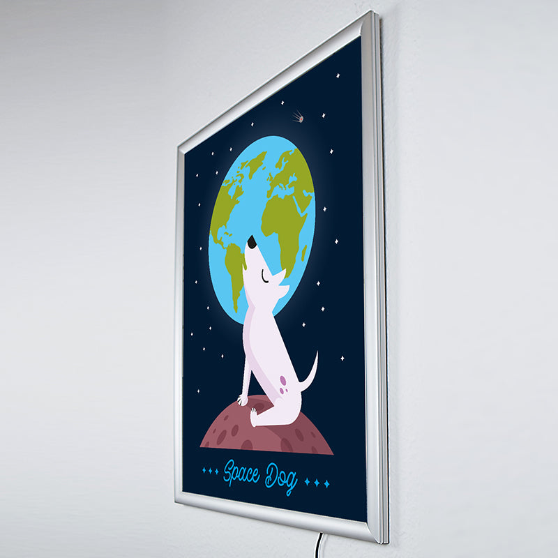 Space Dog – Wandbild mit Beleuchtung
